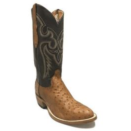cowtown boots alligator shoes