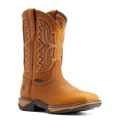 Ariat Toasted Wheat Anthem Ventek H20 10 inch Square Toe Women's Boots 10044440