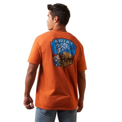 Ariat Adobe Heather Old Faithful Men's T-Shirt 10044784