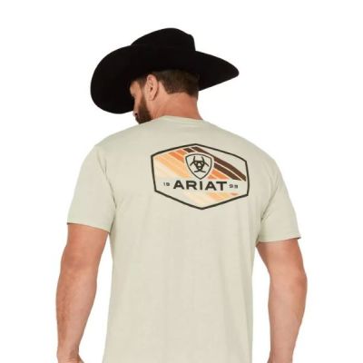Ariat Desert Sage Heather Retro Hex Stripe Men's T-Shirt 10047654