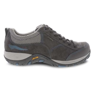 Dansko Grey/Blue Suede Paisley Comfort Sneaker 4350-241005