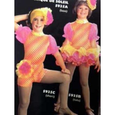 5935B Cirque De Soleil Tutu Recital Costumes