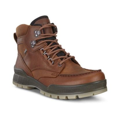 ECCO Men's Brown Track 25 High Hiking Boot 831704-52600
