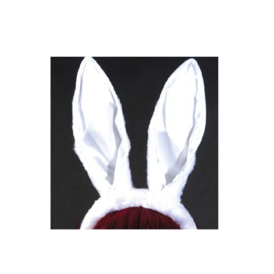 HP-31 Bunny Ears