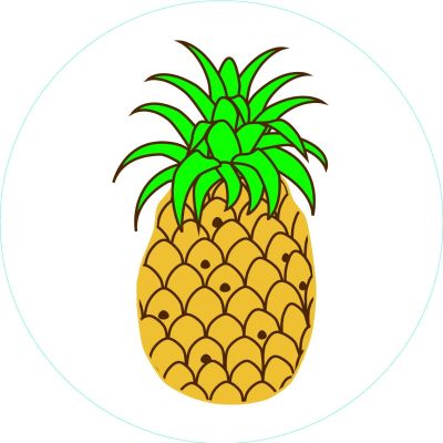 Bogg Bag Pineapple Bits